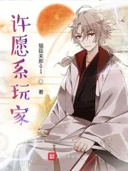 《许愿系玩家》小说封面