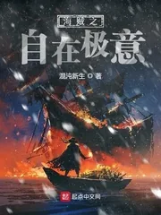 《海贼之自在极意》小说封面