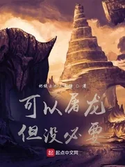 《可以屠龙但没必要》小说封面