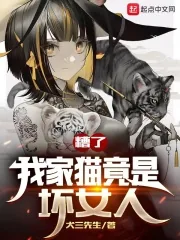 《糟了，我家猫竟是坏女人》小说封面