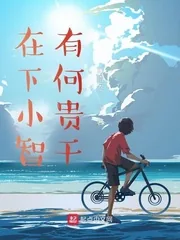 《在下小智,有何贵干》小说封面