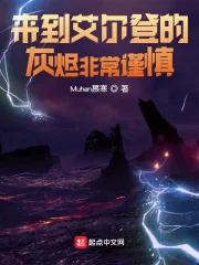 《来到艾尔登的灰烬非常谨慎》小说封面