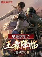 《绝地求生之王者降临》小说封面