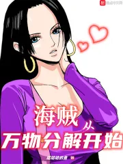 《海贼:从万物分解开始》小说封面