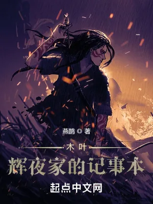 《木叶:辉夜家的记事本》小说封面