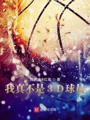 《我真不是3D球员》小说封面