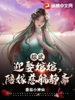 《综武:迎娶婠婠,陪嫁慈航静斋》小说封面