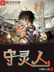 《精灵之守灵人》小说封面
