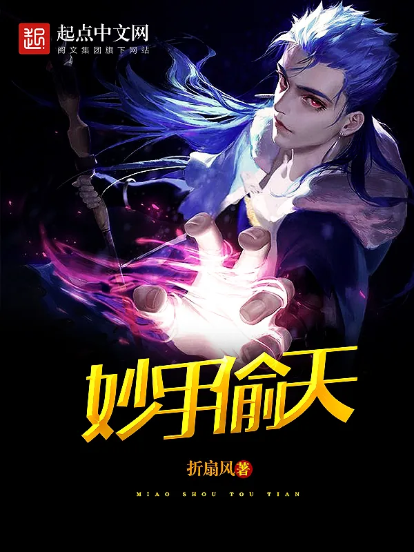 《妙手偷天》小说封面