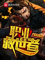 《职业救世者》小说封面