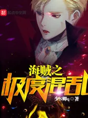《海贼之极度混乱》小说封面
