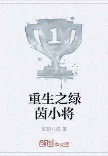 《重生之绿茵小将》小说封面