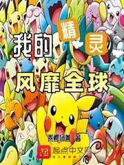 《我的精灵风靡全球》小说封面