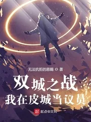 《双城之战:我在皮城当议员》小说封面
