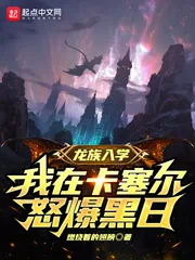 《龙族入学，我在卡塞尔怒爆黑日》小说封面