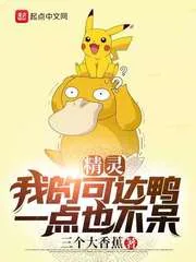 《精灵：我的可达鸭一点也不呆》小说封面