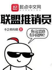 《联盟推销员》小说封面