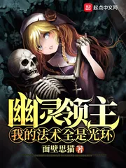 《幽灵领主:我的法术全是光环》小说封面