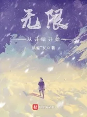 《无限,从开端开始》小说封面