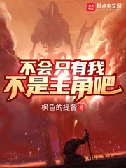 《不会只有我不是主角吧?》小说封面