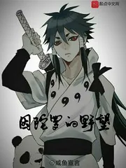 《忍界:因陀罗的野望》小说封面