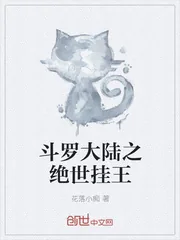 《斗罗大陆之绝世挂王》小说封面