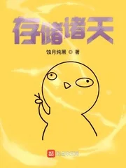 《存储诸天》小说封面