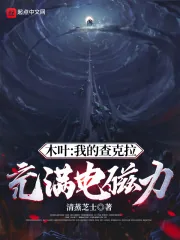 《木叶:我的查克拉充满电磁力》小说封面