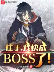 《住手,我快成boss了!》小说封面