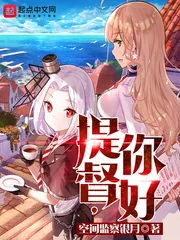 《提督,你好》小说封面