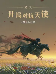 《诸天:开局对抗天使》小说封面