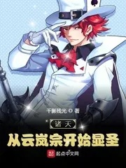 《诸天:从云岚宗开始显圣》小说封面