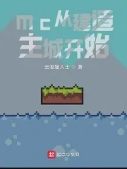 《mc从建造主城开始》小说封面