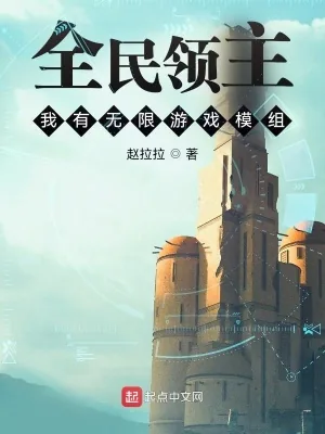 《全民领主:我有无限游戏模组》小说封面