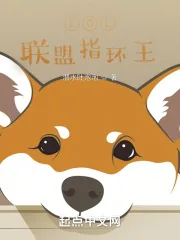 《LOL:联盟指环王》小说封面