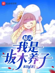 《精灵:我是坂木养子》小说封面