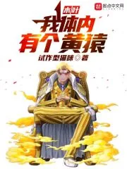 《木叶:我体内有个黄猿》小说封面
