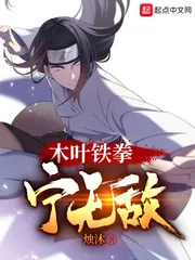 《木叶铁拳宁无敌》小说封面