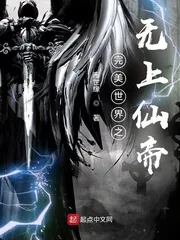 《完美世界之无上仙帝》小说封面