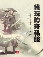 《我玩传奇私服》小说封面