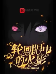 《轮回眼中的火影》小说封面