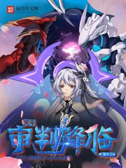 《次元审判降临》小说封面