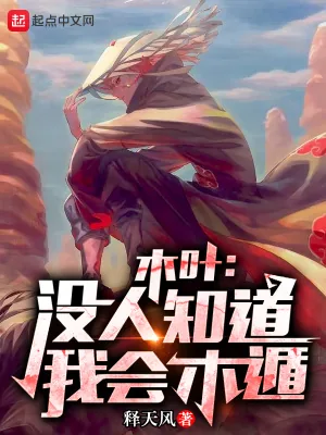 《木叶：没人知道我会木遁！》小说封面