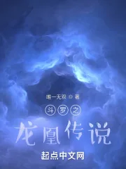 《斗罗之龙凰传说》小说封面