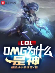 《LOL:OMG为什么是神》小说封面