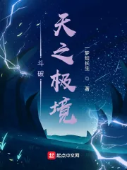 《斗破：天之极境》小说封面