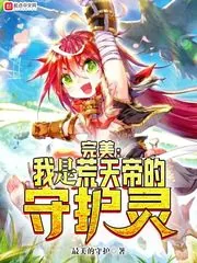 《完美:我是荒天帝的守护灵》小说封面