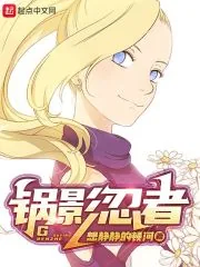 《锅影忍者》小说封面