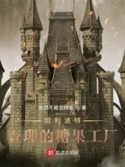 《哈利波特:查理的糖果工厂》小说封面