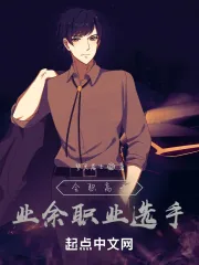《全职高手:业余职业选手》小说封面